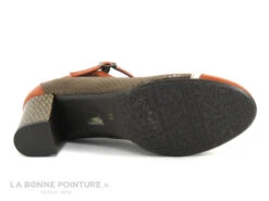 Dorking RODIN D8669 Orange Et Marron - Escarpin Avec Bride -Magasin De Chaussures cd24607c73b9e66c561f35ea11d5d5ef img 1299.jpg 173233