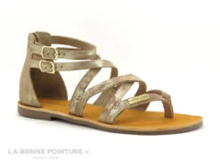 Tropeziennes PHARELL Beige Or - 23084 - Sandale Montante Tong -Magasin De Chaussures cd24607c73b9e66c561f35ea11d5d5ef img 2382.jpg 149331