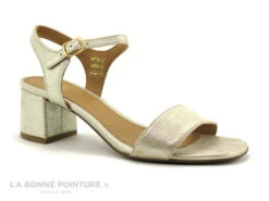 We Do 44021FB Platine - Sandale Femme Talon Carre -Magasin De Chaussures cd24607c73b9e66c561f35ea11d5d5ef img 8323.jpg 181789