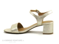 We Do 44021FB Platine - Sandale Femme Talon Carre -Magasin De Chaussures cd24607c73b9e66c561f35ea11d5d5ef img 8325.jpg 181785